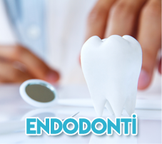 endodonti